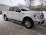 2013 WHITE FORD F150 SUPERCREW (1FTFW1EF6DF) with an 5.0L engine, Automatic transmission, located at 6610 L St., Omaha, NE, 68117, (402) 731-7800, 41.212872, -96.014702 - Photo#2